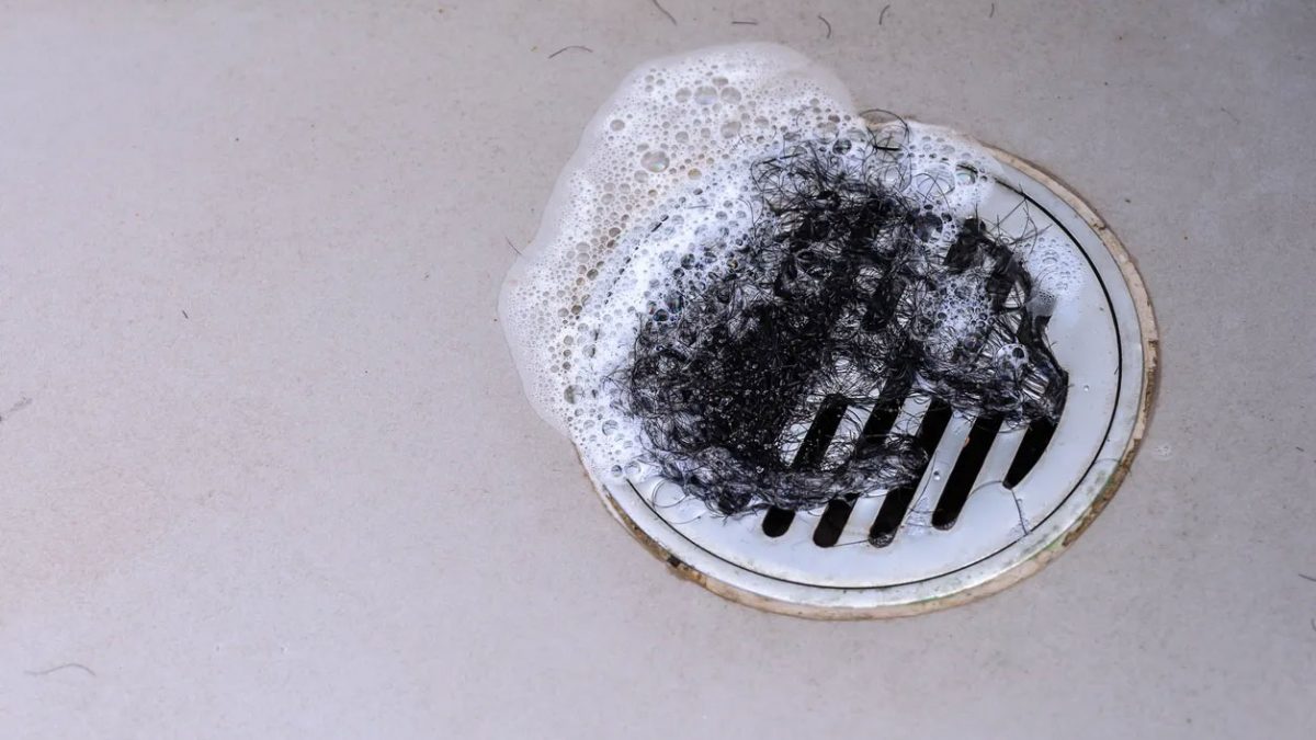 Hair Clogged in Shower Drain